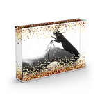 Snow Globe Picture Frame